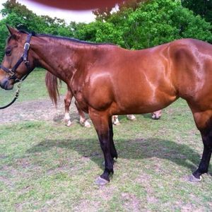 Meet your Posher, Tammye